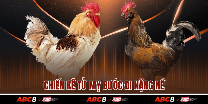 Gà Tử Mỵ – Chiến Kê Huyền Thoại Khiến Mọi Cược Thủ Yêu Thích 4 Chiến kê Tử Mỵ bước đi nặng nề