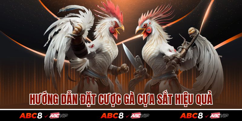 Đá Gà Cựa Sắt – Môn Chơi Kịch Tính Làm Mê Hoặc Bet Thủ 3 Hướng dẫn đặt cược gà cựa sắt hiệu quả