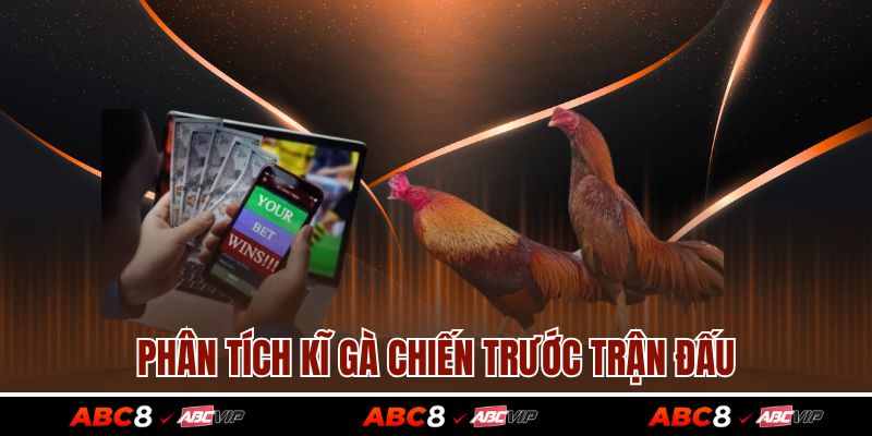 Đá Gà Cựa Dao – Hình Thức Đối Kháng Kịch Tính Bậc Nhất 4 Phân tích kĩ gà chiến trước trận đấu