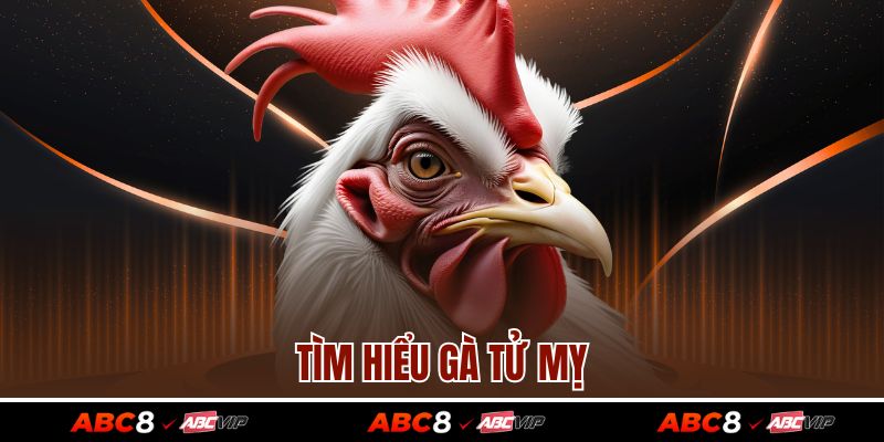 Gà Tử Mỵ – Chiến Kê Huyền Thoại Khiến Mọi Cược Thủ Yêu Thích 2 Tìm hiểu gà Tử Mỵ