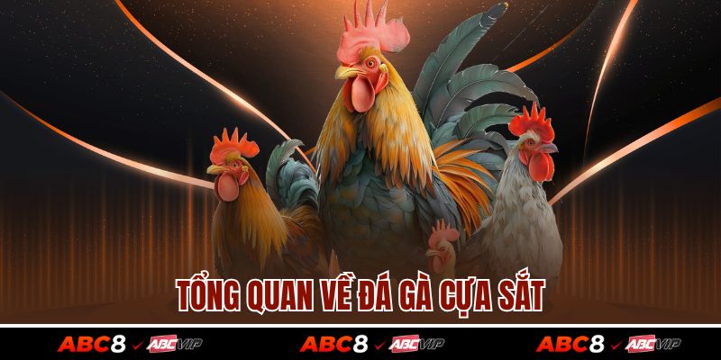 Đá Gà Cựa Sắt – Môn Chơi Kịch Tính Làm Mê Hoặc Bet Thủ 2 Tổng quan về đá gà cựa sắt