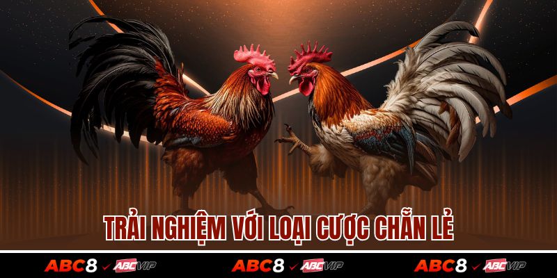 Đá Gà C1 - Các Hình Thức Cá Cược Phổ Biến Nhất Hiện Nay 4 Trải nghiệm với loại cược chẵn lẻ