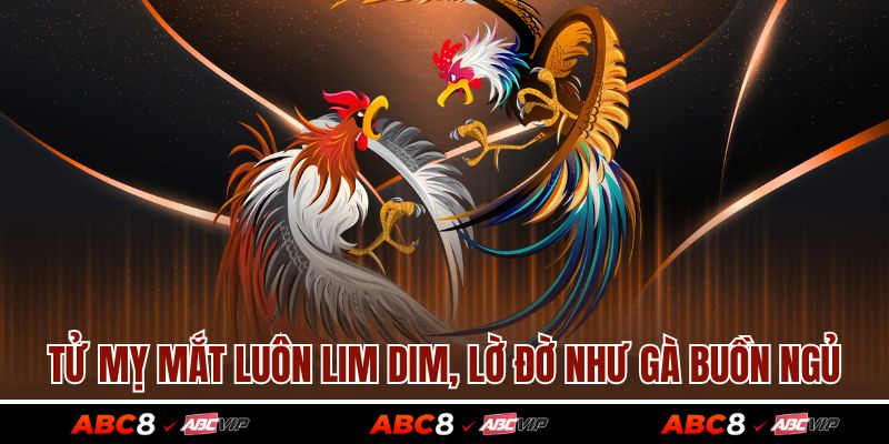 Gà Tử Mỵ – Chiến Kê Huyền Thoại Khiến Mọi Cược Thủ Yêu Thích 3 Tử Mỵ mắt luôn lim dim, lờ đờ như gà buồn ngủ